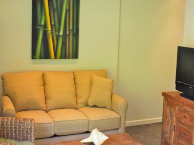 Small Living Room with Couch & TV